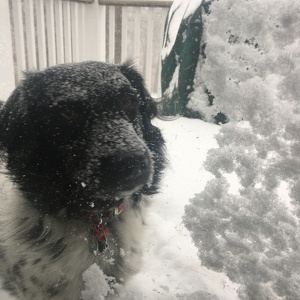 Fundraising Page: Michelle Beck